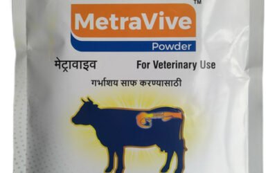 Vetxia Healthcare Enhances Animal Health with Metravive