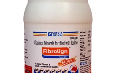 Vetxia Healthcare Enhances Animal Health with FibroLign