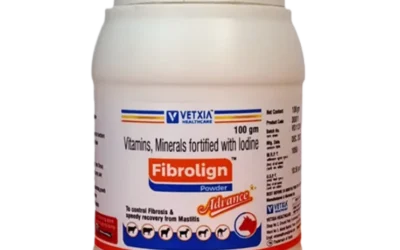 Vetxia Healthcare Enhances Animal Health with FibroLign
