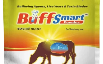 Vetxia Healthcare Enhances Animal Health with Buffsmart