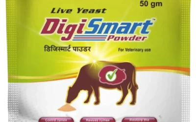 Vetxia Healthcare Enhances Animal Health with DigiSmart