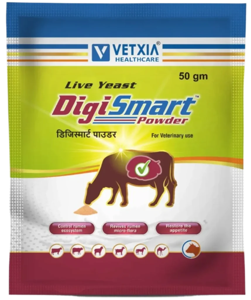 Vetxia Healthcare Enhances Animal Health with DigiSmart