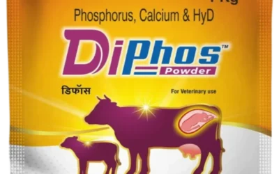 Vetxia Healthcare Enhances Animal Health with DiPhos