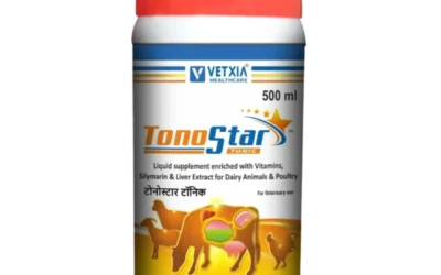 Vetxia Healthcare Enhances Animal Health with TonoStar Tonic